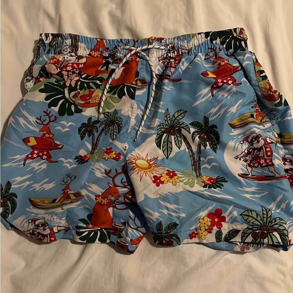BRAND NEW mens swim trunks